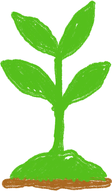 Hand-drawn growing plant illustration, symbolizing the Growth package